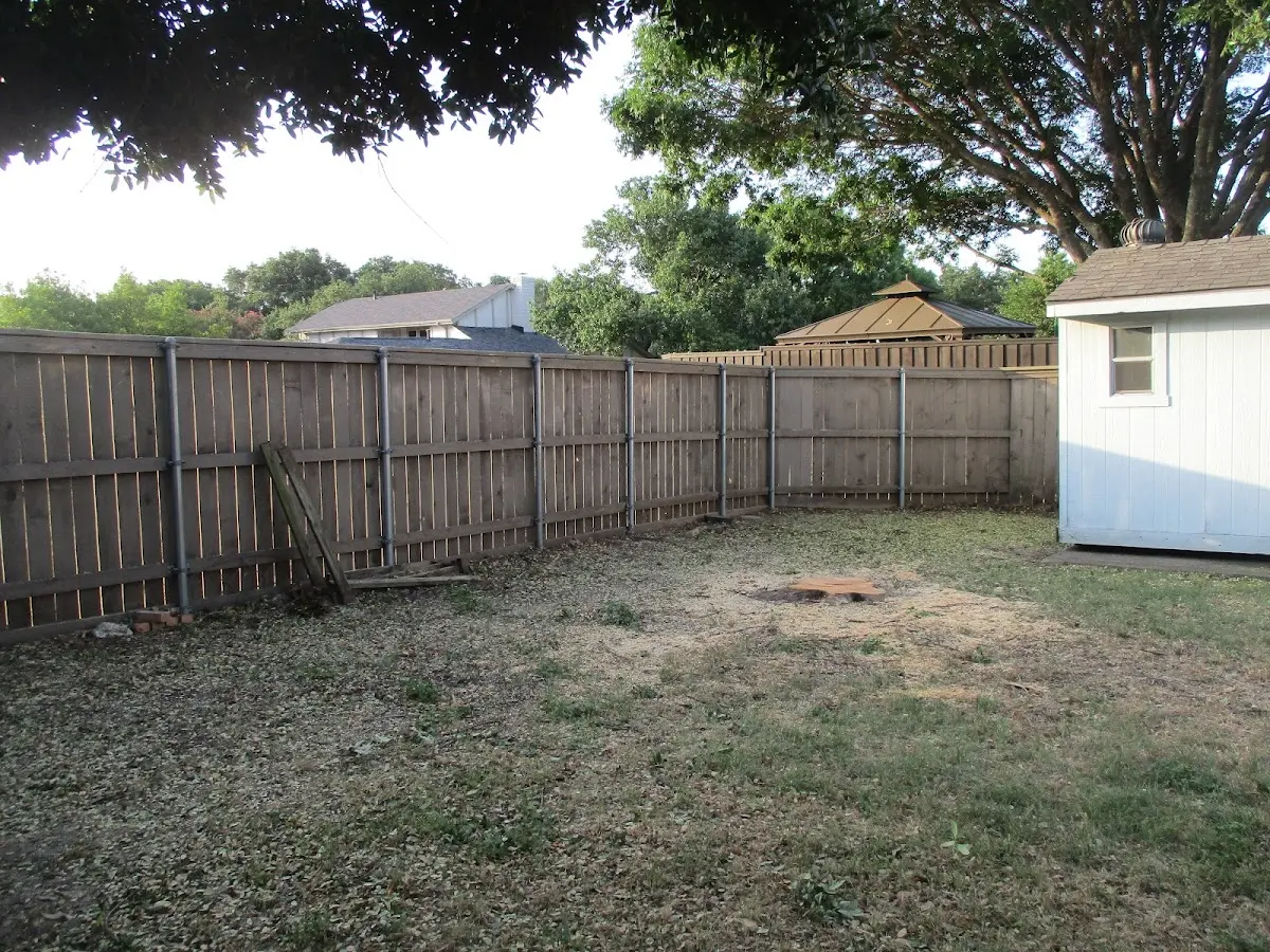 Cleared yard after professional tree removal in Mottville